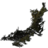 SR-icon-ingredient-Hanging Moss.png